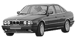 BMW E34 B19D1 Fault Code